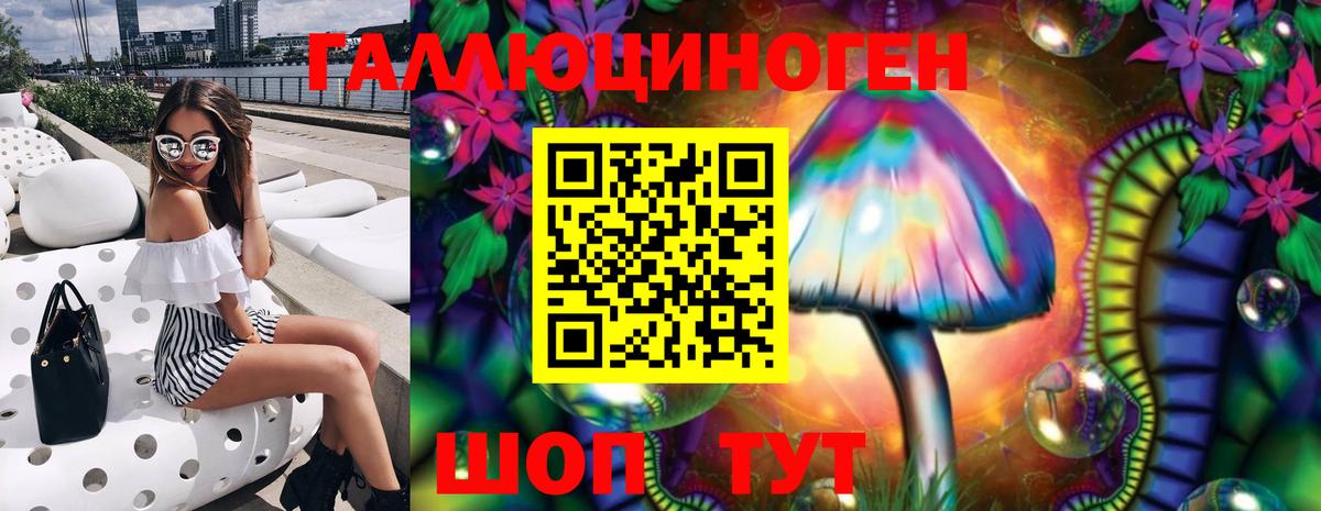 Псилоцибиновые грибы Psilocybe Алексеевка