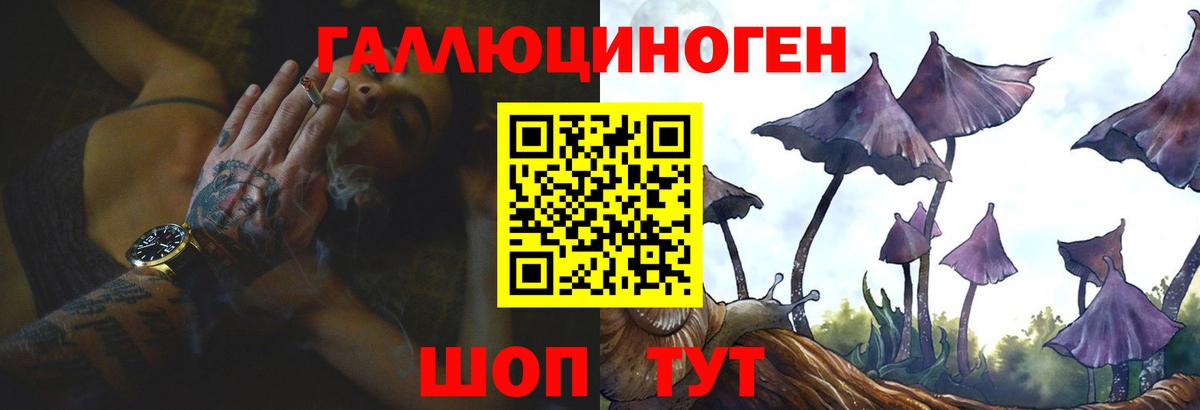 Алексеевка  Галлюциногенные грибы мухоморы  Вход с VPN 